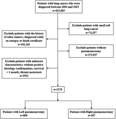 Clinical characteristics and survival outcomes of patients with pneumonectomies: A population-based study